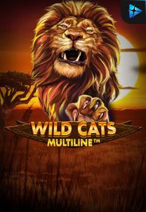 Bocoran RTP Wild Cat Multiline di Situs Ajakslot Generator RTP Resmi dan Terakurat